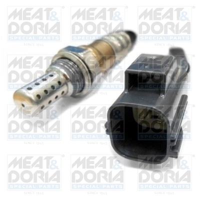 Oxygen Sensor